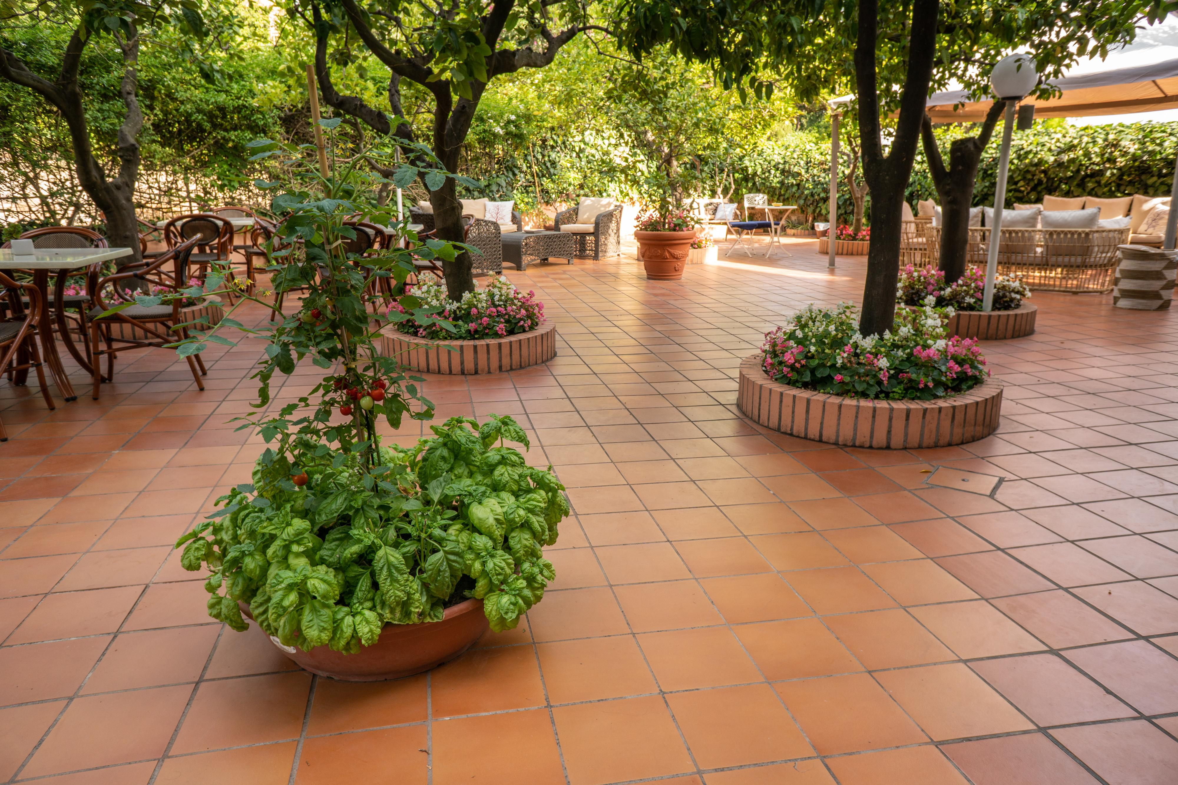 סורנטו Boutique Hotel Regina מראה חיצוני תמונה